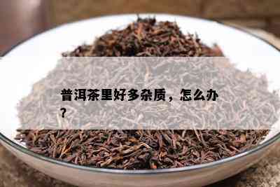 普洱茶里好多杂质，怎么办？