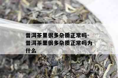 普洱茶里很多杂质正常吗-普洱茶里很多杂质正常吗为什么