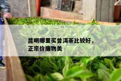 昆明哪里买普洱茶比较好，正宗价廉物美