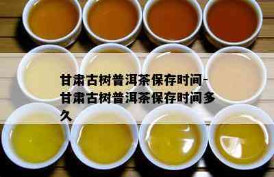 甘肃古树普洱茶保存时间-甘肃古树普洱茶保存时间多久