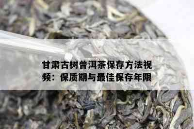 甘肃古树普洱茶保存方法视频：保质期与更佳保存年限