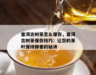 普洱古树茶怎么保存，普洱古树茶保存技巧：让您的茶叶保持鲜香的秘诀