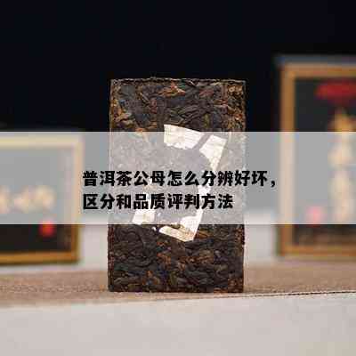 普洱茶公母怎么分辨好坏，区分和品质评判方法