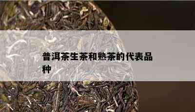 普洱茶生茶和熟茶的代表品种