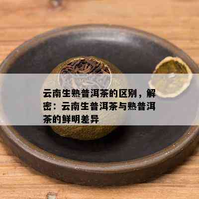 云南生熟普洱茶的区别，解密：云南生普洱茶与熟普洱茶的鲜明差异