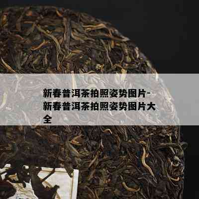 新春普洱茶拍照姿势图片-新春普洱茶拍照姿势图片大全