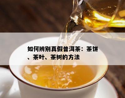 如何辨别真假普洱茶：茶饼、茶叶、茶树的方法