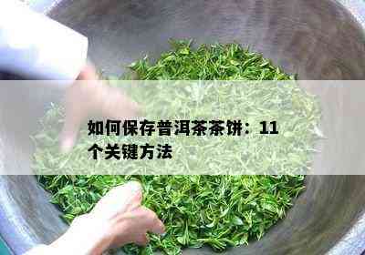 如何保存普洱茶茶饼：11个关键方法