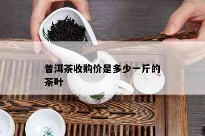 普洱茶收购价是多少一斤的茶叶