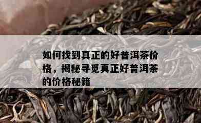 如何找到真正的好普洱茶价格，揭秘寻觅真正好普洱茶的价格秘籍