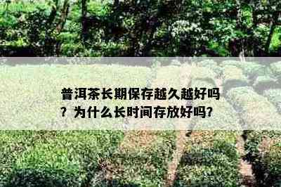 普洱茶长期保存越久越好吗？为什么长时间存放好吗？