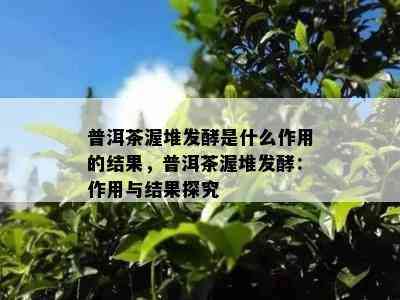 普洱茶渥堆发酵是什么作用的结果，普洱茶渥堆发酵：作用与结果探究