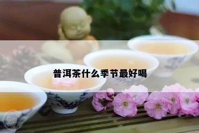 普洱茶什么季节更好喝