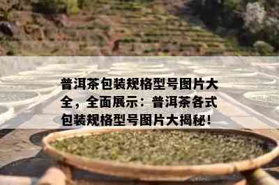 普洱茶包装规格型号图片大全，全面展示：普洱茶各式包装规格型号图片大揭秘！