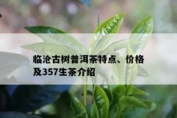 临沧古树普洱茶特点、价格及357生茶介绍