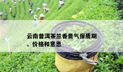 云南普洱茶兰香贵气保质期、价格和意思