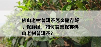 佛山老树普洱茶怎么储存好，保鲜经：如何妥善保存佛山老树普洱茶？