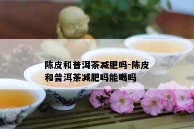 陈皮和普洱茶减肥吗-陈皮和普洱茶减肥吗能喝吗