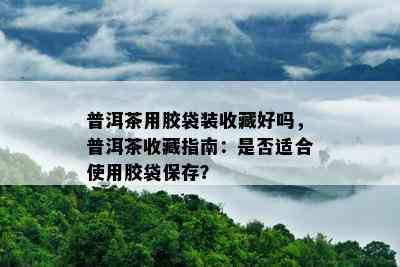 普洱茶用胶袋装收藏好吗，普洱茶收藏指南：是否适合使用胶袋保存？