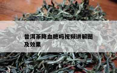 普洱茶降血糖吗视频讲解图及效果