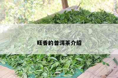 旺香的普洱茶介绍