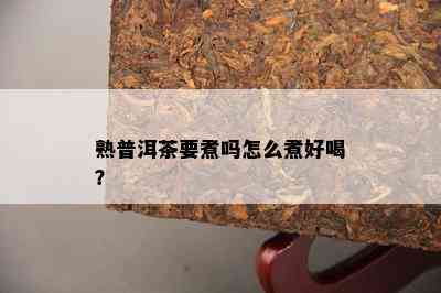 熟普洱茶要煮吗怎么煮好喝？