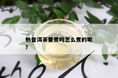 熟普洱茶要煮吗怎么煮的呢？