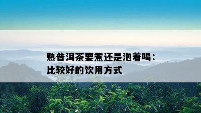 熟普洱茶要煮还是泡着喝：比较好的饮用方式