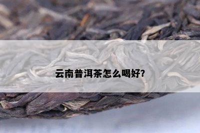 云南普洱茶怎么喝好？