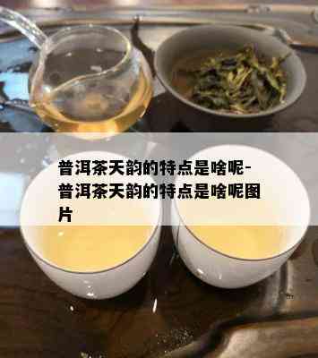 普洱茶天韵的特点是啥呢-普洱茶天韵的特点是啥呢图片