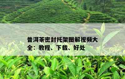 普洱茶密封托架图解视频大全：教程、下载、好处