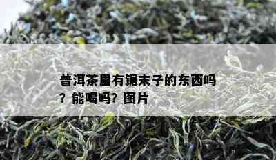 普洱茶里有锯末子的东西吗？能喝吗？图片