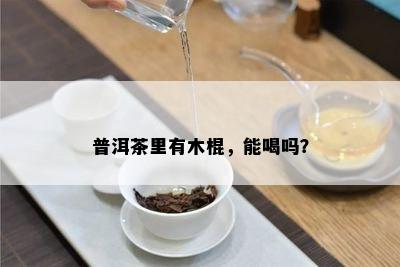 普洱茶里有木棍，能喝吗？