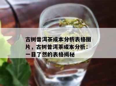 古树普洱茶成本分析表格图片，古树普洱茶成本分析：一目了然的表格揭秘