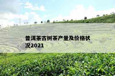 普洱茶古树茶产量及价格状况2021