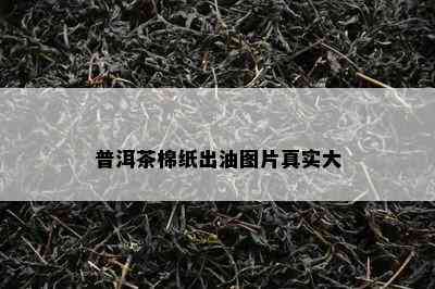 普洱茶棉纸出油图片真实大