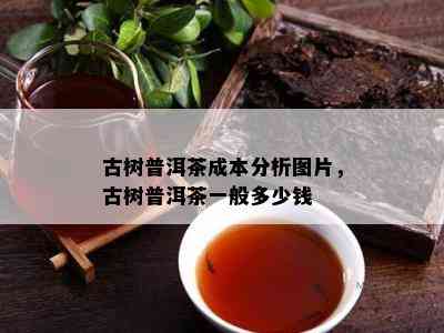 古树普洱茶成本分析图片，古树普洱茶一般多少钱