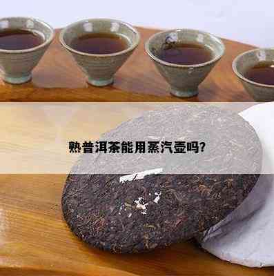 熟普洱茶能用蒸汽壶吗？