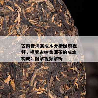 古树普洱茶成本分析图解视频，探究古树普洱茶的成本构成：图解视频解析