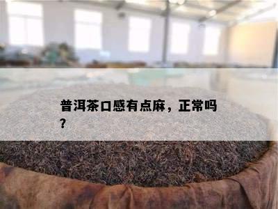 普洱茶口感有点麻，正常吗？