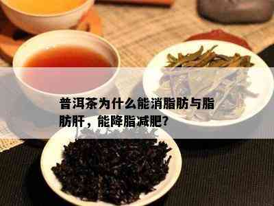 普洱茶为什么能消脂肪与脂肪肝，能降脂减肥？