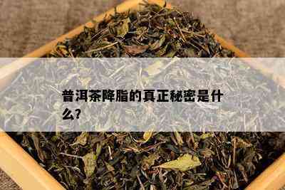 普洱茶降脂的真正秘密是什么？