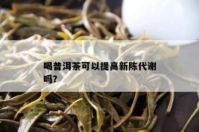 喝普洱茶可以提高新陈代谢吗？