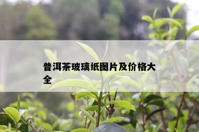 普洱茶玻璃纸图片及价格大全