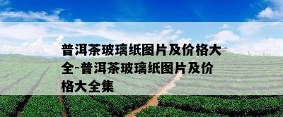 普洱茶玻璃纸图片及价格大全-普洱茶玻璃纸图片及价格大全集