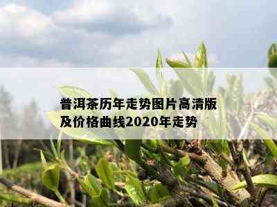 普洱茶历年走势图片高清版及价格曲线2020年走势