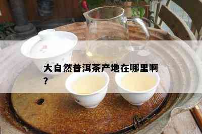 大自然普洱茶产地在哪里啊？