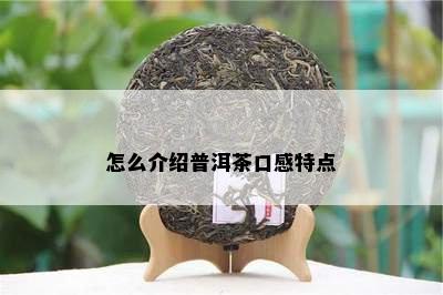 怎么介绍普洱茶口感特点