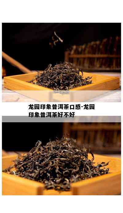 龙园印象普洱茶口感-龙园印象普洱茶好不好