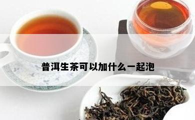 普洱生茶可以加什么一起泡